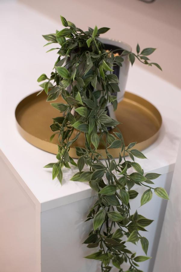 Medluxe Cozy Apartment! Athén Kültér fotó